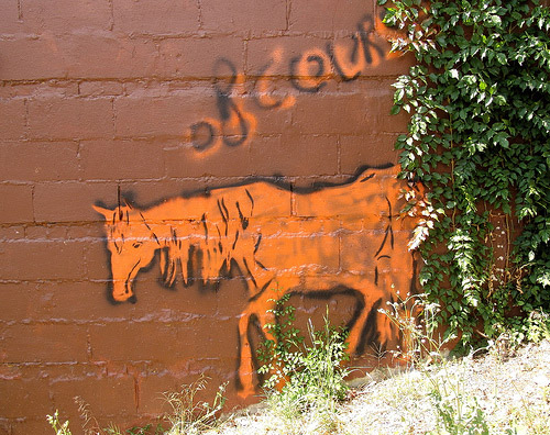 Equine Graffiti