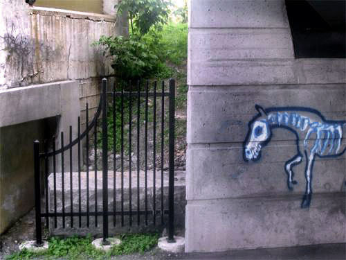 Equine Graffiti
