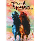 The Black Stallion Challenged!