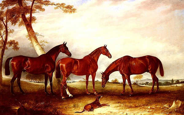 Marvel KingFisher And The Lad - Three Hunters Belonging To William Angerstein