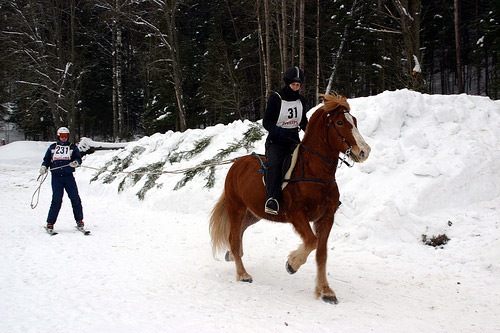 Horse pulling skier in Finland Horse pulling skier in Finland
