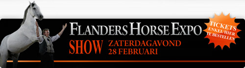 2009 Flanders Horse Expo