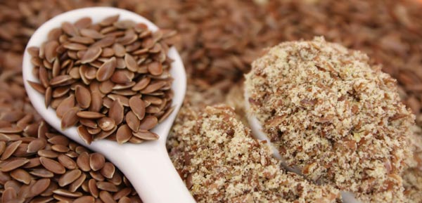 Flax Seeds Flax Seeds
