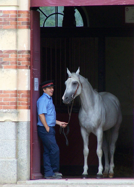 Lunch Break Horse and man in uniform