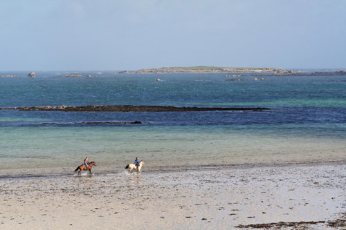 Running on the beach Horse and riders running on the beach