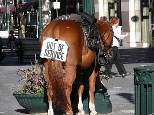 Horses with 'Out of Service' sign on it's tail