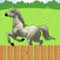 Horse Race HD