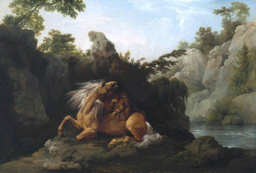 Horse Attacked By a Lion