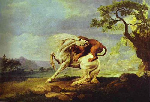 Horse Attacked By a Lion