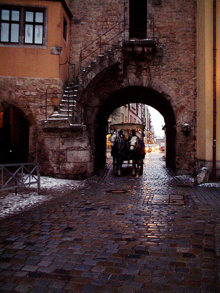 Horse and carriage in Rothenburg Horse and carriage in Rothenburg