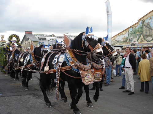 Costumed horses pulling a beer wagon Octoberfest
