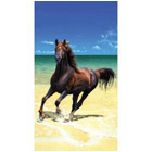 Frolicking Beach Horse Terry Velour Towel