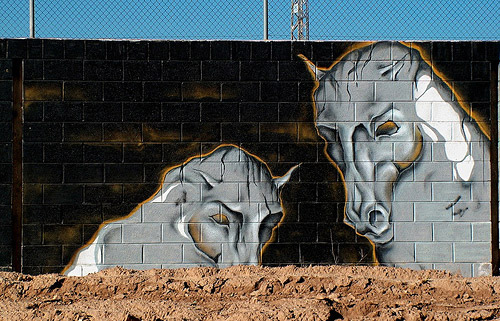 Horse Graffiti Horse Graffiti