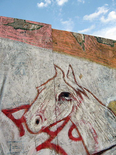 Horse Graffiti Horse Graffiti
