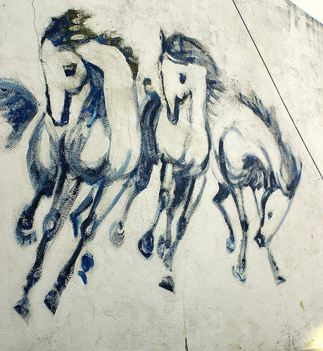 Horse Graffiti Horse Graffiti