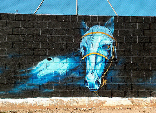 Horse Graffiti Horse Graffiti