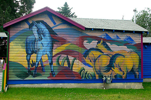 Horse Graffiti Horse Graffiti