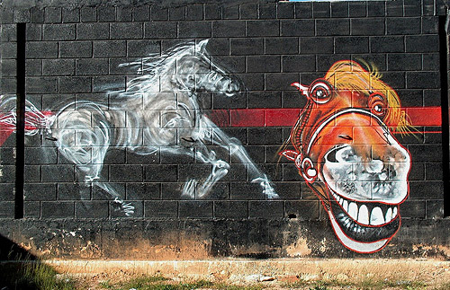 Horse Graffiti Horse Graffiti
