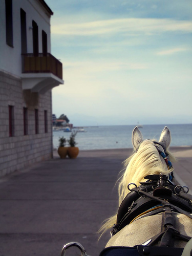 Spetses Horse Taxi in Greece Horse in Greece