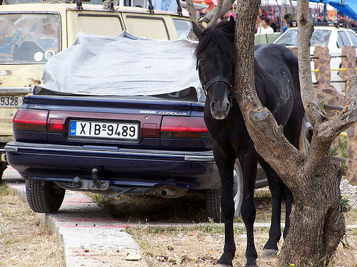 Horse Parking in Greece Horse in Greece