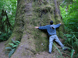 Guy hugging a tree