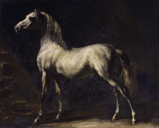 White Grey Arabian Horse - Théodore Géricault