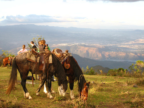 Horses in Guatemala Horses in Guatemala