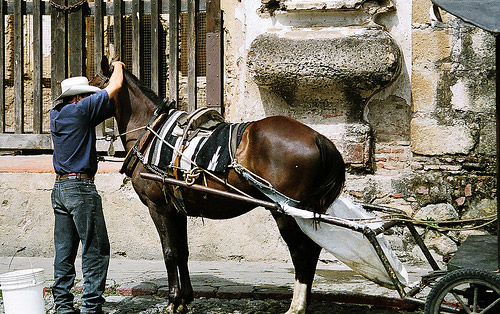 Horse and buggy in Guatemala