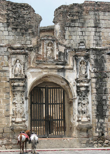 Horses in Guatemala Horses in Guatemala