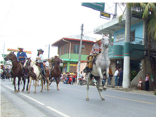 Horses in Guatemala