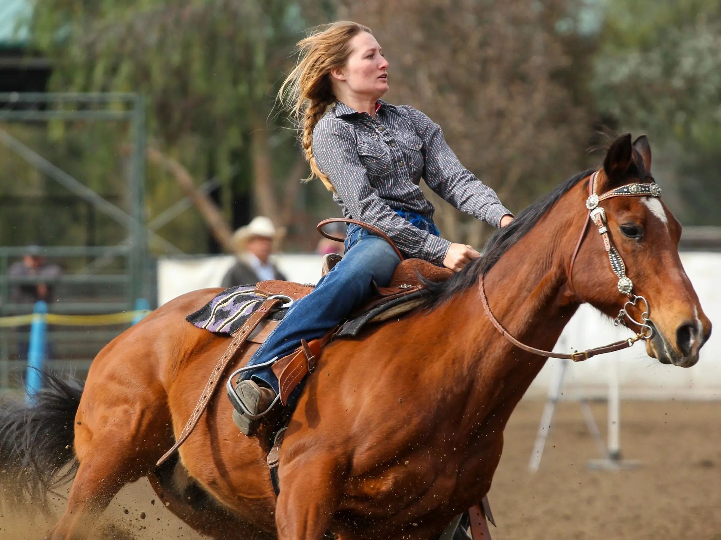 Horse Glossary Horse Glossary