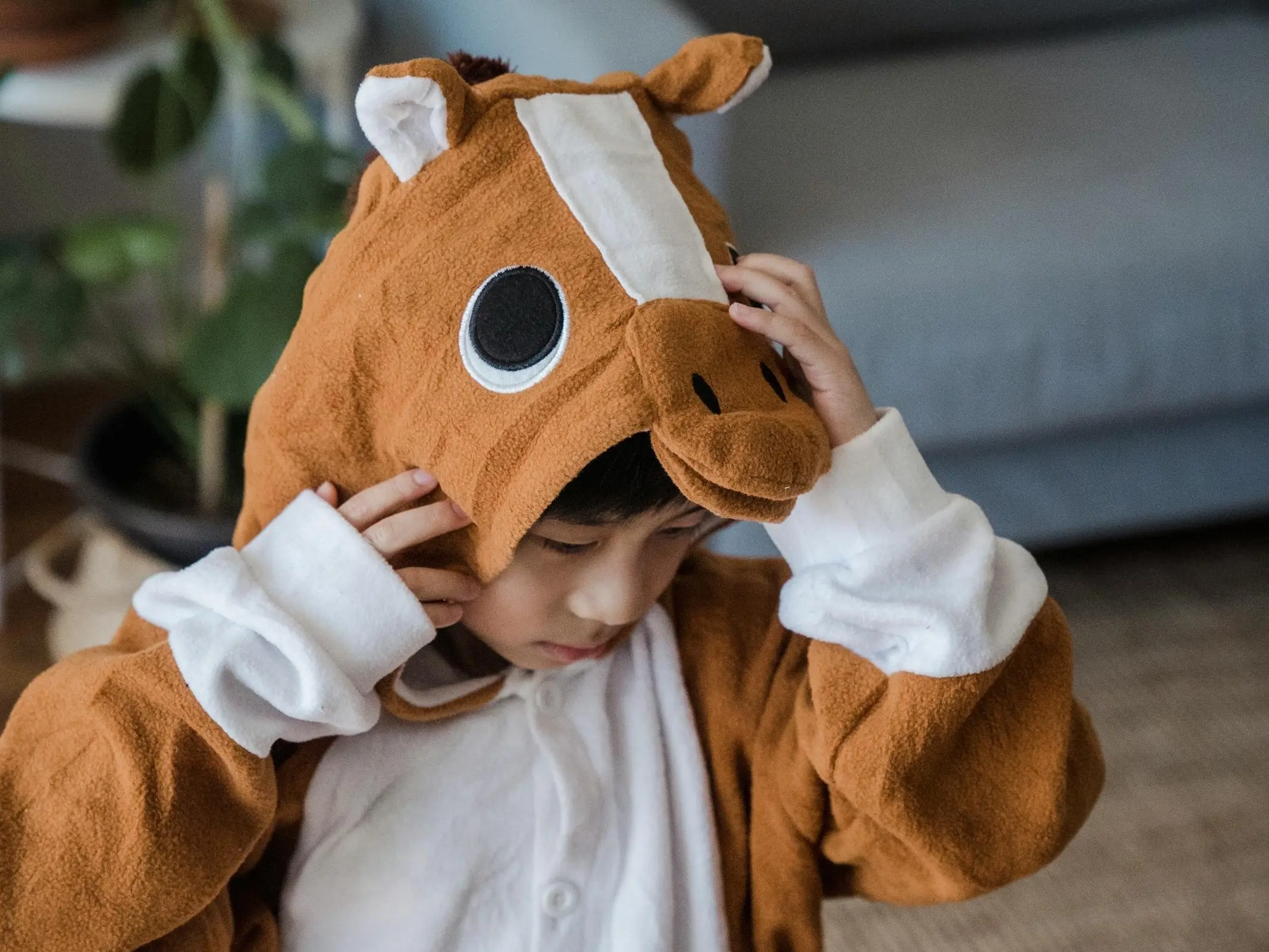 A young boy wearing a horse costume