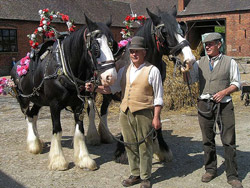 horses with their handlers