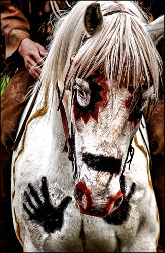 Kiowa War Horse, Horse art