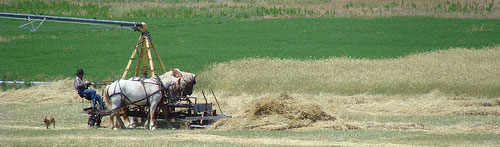 Horse Powered Hay Equipment Horse Powered Hay Equipment