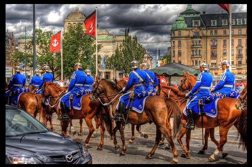 Horses in HDR