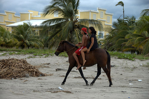 Horse with riders in Honduras