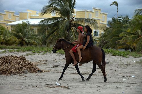 Horse with riders in Honduras Horse with riders in Honduras