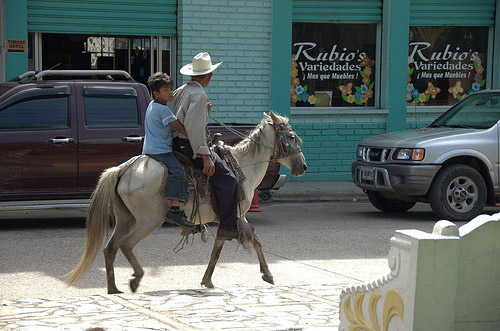 Horse and riders in Honduras
