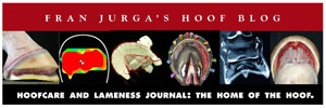 Fran Jurga's Hoof Care Blog
