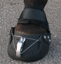 Horse Boots Horse Boots