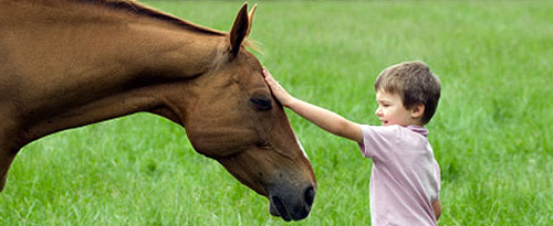Horse and Child Horse and child