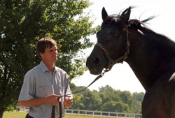 Horse with breeder