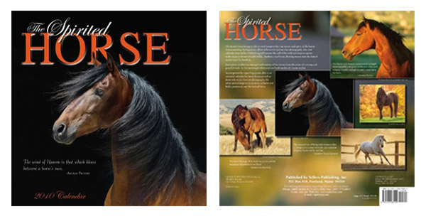 12 Horse Calendars for 2010 | The Equinest