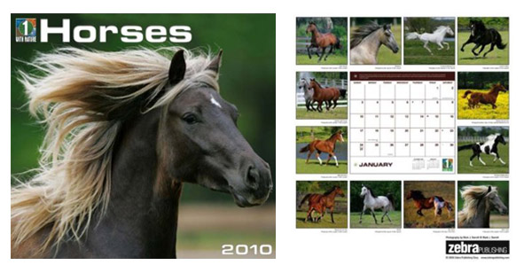 Horse Calendar