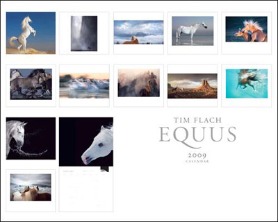 2009 Equus Calendar