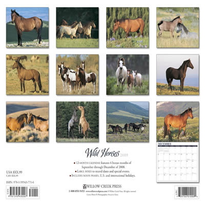 2009 Wild Horses Calendar