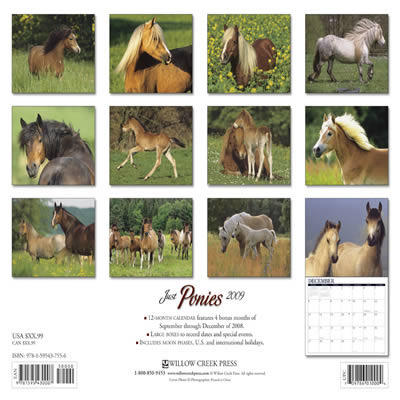 2009 Just Ponies Calendar