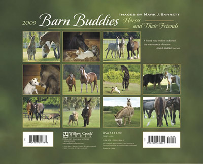 2009 Barn Buddies Calendar