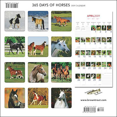 2009 365 Days of Horses